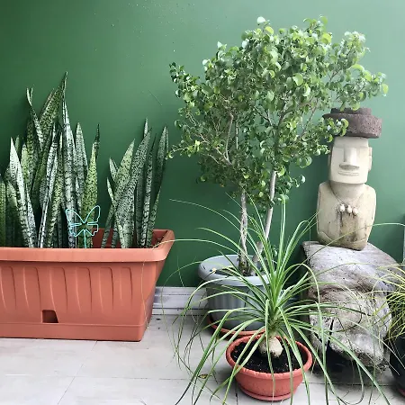 Tera Matai Penthouse Διαμέρισμα *